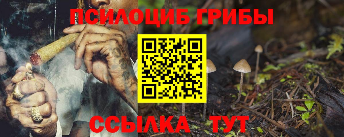 Галлюциногенные грибы мицелий  Вход с VPN  Тольятти 